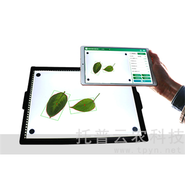 智能葉面積測(cè)量系統(tǒng)